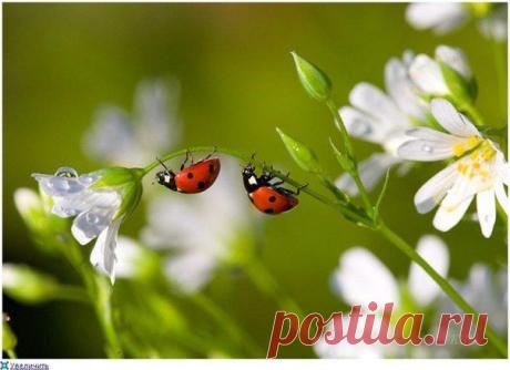 Фотографии на стене сообщества | 32 850 фотографий | ВКонтакте