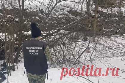 Появились подробности обнаружения человеческих останков в российском регионе. Появились подробности обнаружения человеческих останков в Ленинградской области. На месте инцидента рядом с отрубленными ногами нашли пластиковую бутылку и след от протектора. Правоохранители изучают емкость и след машины. По факту произошедшего возбуждено дело по статье 105 («Убийство») УК РФ.