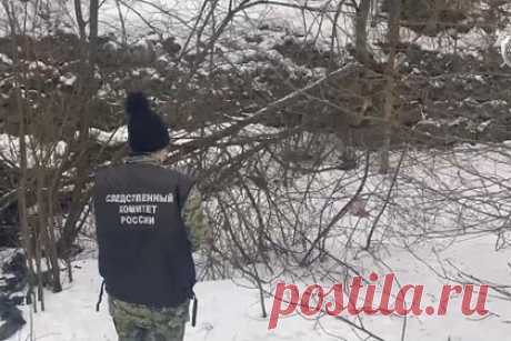Появились подробности обнаружения человеческих останков в российском регионе. Появились подробности обнаружения человеческих останков в Ленинградской области. На месте инцидента рядом с отрубленными ногами нашли пластиковую бутылку и след от протектора. Правоохранители изучают емкость и след машины. По факту произошедшего возбуждено дело по статье 105 («Убийство») УК РФ.