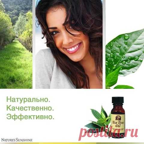 ВОЛШЕБНОЕ МАСЛО ЧАЙНОГО ДЕРЕВА