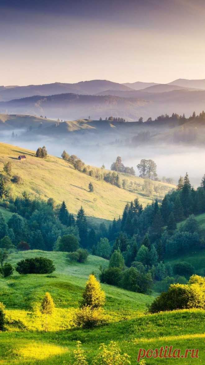 Найдено на сайте wallpaperscraft.com.