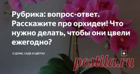Рубрика: вопрос-ответ. Расскажите про орхидеи! Что нужно делать, чтобы они цвели ежегодно? Фаленопсис цикламеновый (фото из открытого источника)
Орхидеи-цветы из древности. Они появились несколько десятков миллионов лет назад. Как утверждают ученые, еще в мезозойскую эру.
Название орхидея получила за сходство формы корневища с яичком, переводе с греческого "ὄρχις".
Орхидеи из семейства Орхидные, или Губоцветные. (фото из открытого источника)