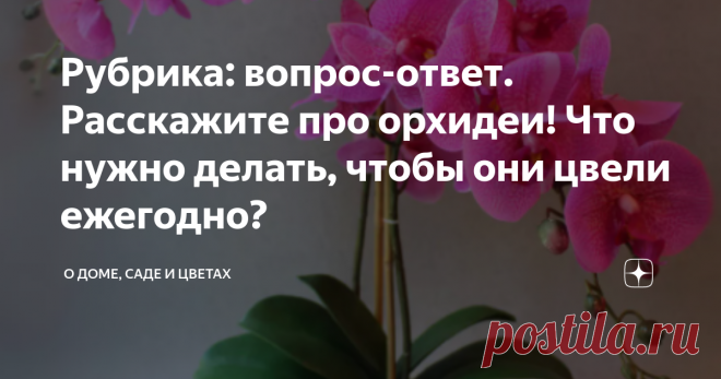 Рубрика: вопрос-ответ. Расскажите про орхидеи! Что нужно делать, чтобы они цвели ежегодно? Фаленопсис цикламеновый (фото из открытого источника)
Орхидеи-цветы из древности. Они появились несколько десятков миллионов лет назад. Как утверждают ученые, еще в мезозойскую эру.
Название орхидея получила за сходство формы корневища с яичком, переводе с греческого 