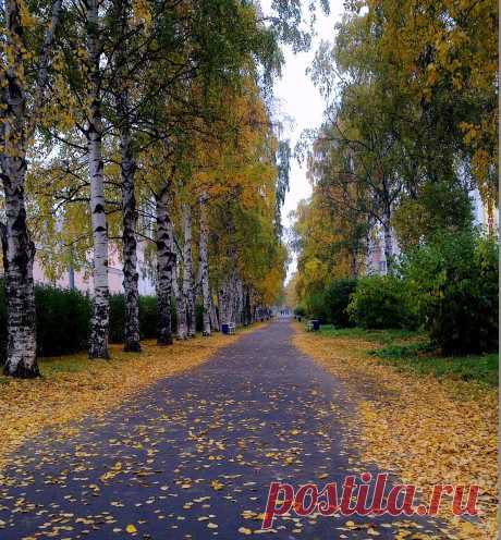 con-sels — «Сентябрьский бульвар» на Яндекс.Фотках