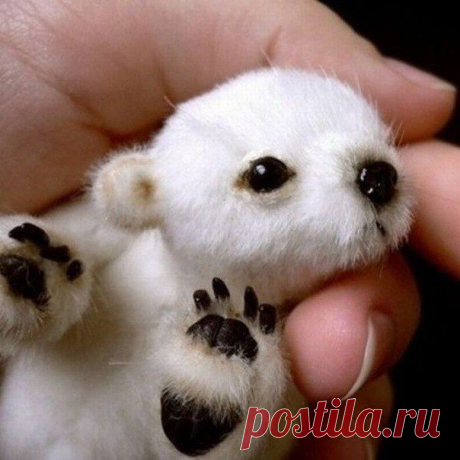 Фотографии на стене сообщества | 8 793 фотографии