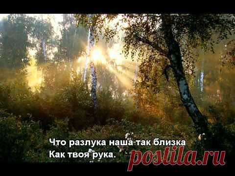 17 хитов Анатолия Васильева и группы «Поющие гитары» | Showbiz Daily