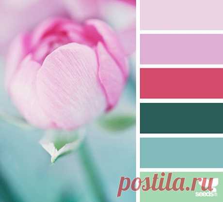 Design Seeds® | find your palette