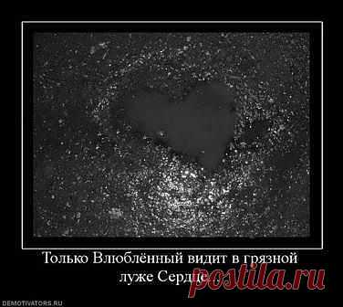 Стоит задуматься?