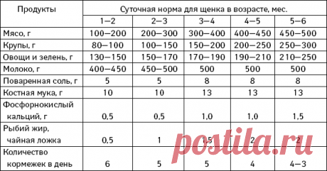 график прибавки в весе щенка немецкого дога: 10 тыс изображений найдено в Яндекс.Картинках