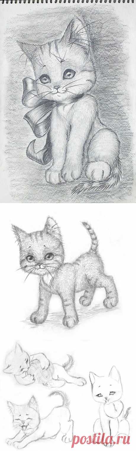 Котенок