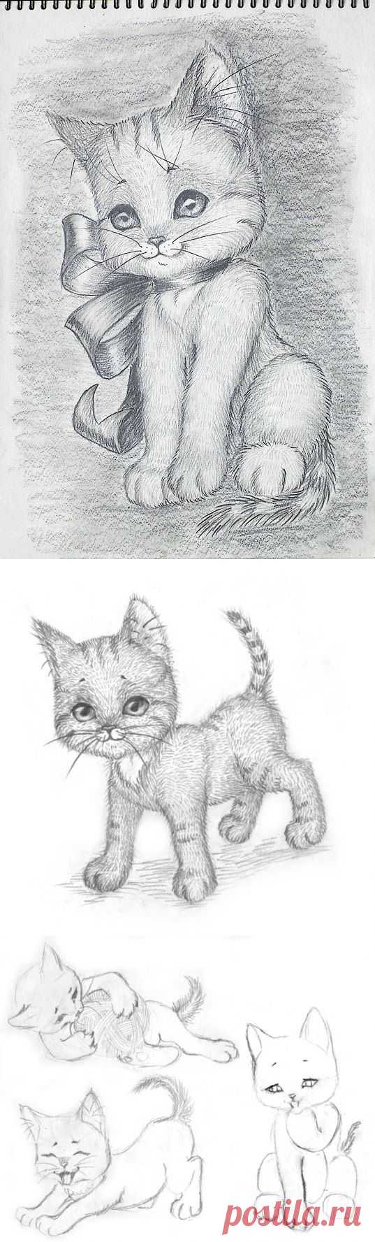Котенок