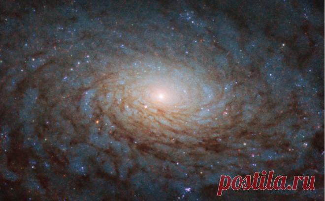 NASA нашло в космосе «портал в другое измерение» :: Технологии и медиа :: РБК