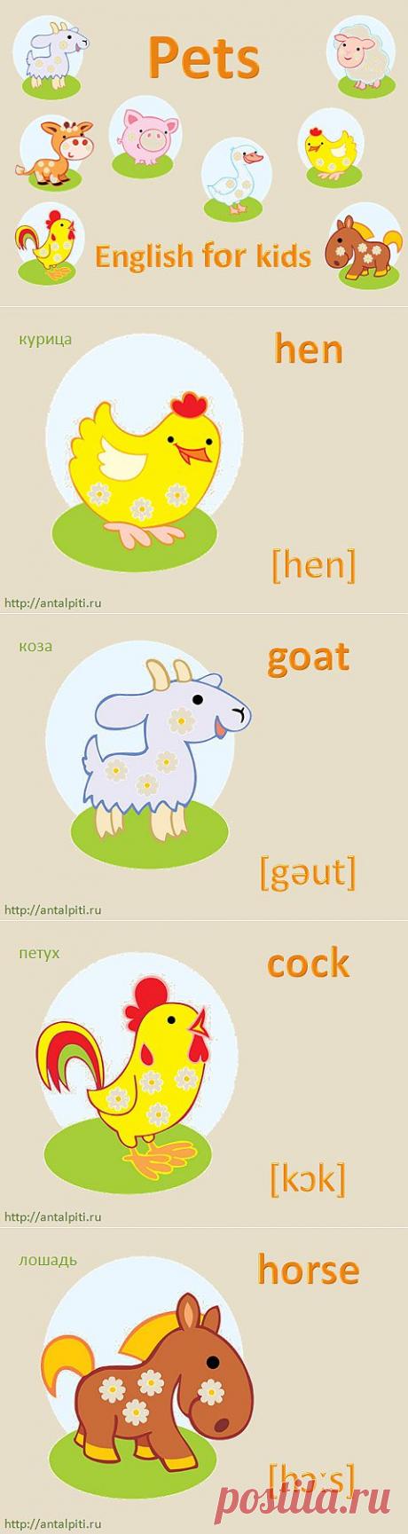 Английский для детей. Kарточки "Первые cлова - питомцы". Весь комплект карточек можно на сайте или смотреть аналогичную озвученную онлайн-презентацию.