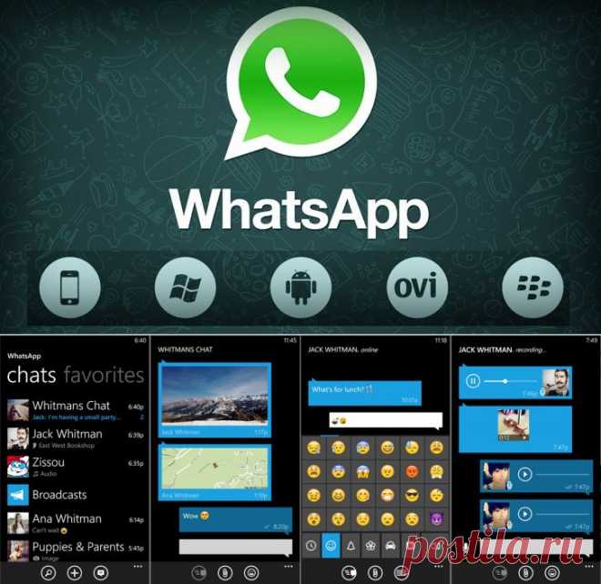 WhatsApp  2.17.1 - «Вацап» для Android, iPhone, iPad на Soft-File.ru