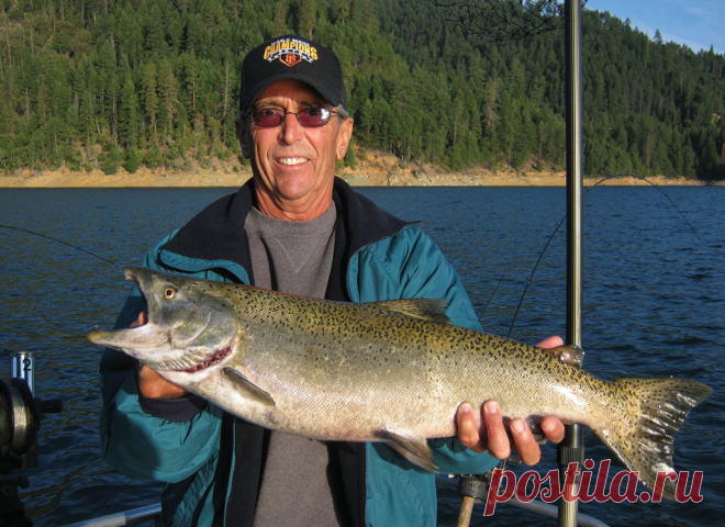 Trinity Lake Fishing Options - Game & Fish/Sportsman