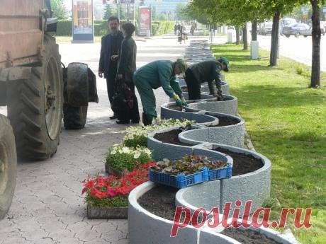 «Пермь практически на 100% готова к празднованию Дня города», - заявил сегодня на выездном совещании начальник управления внешнего благоустройства администрации Перми Николай Уханов.