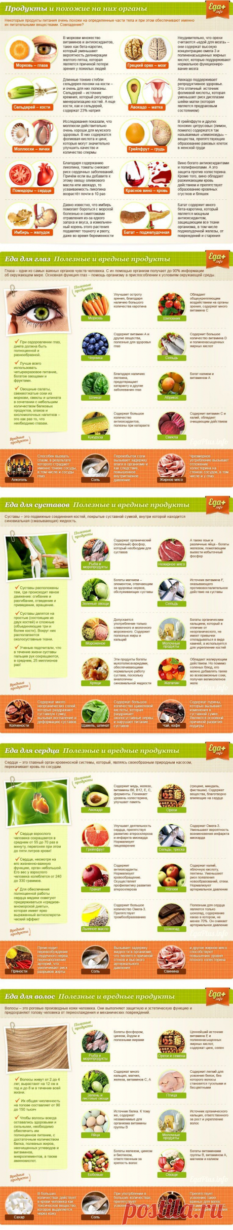&gt;Какая еда полезна для организма