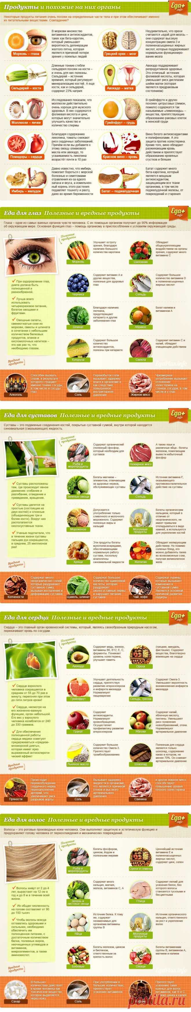 >Какая еда полезна для организма