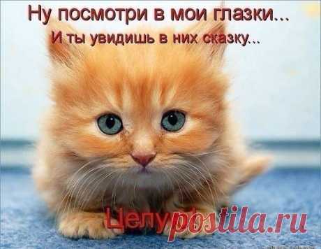 Улыбка!!!