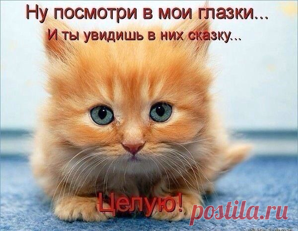 Улыбка!!!