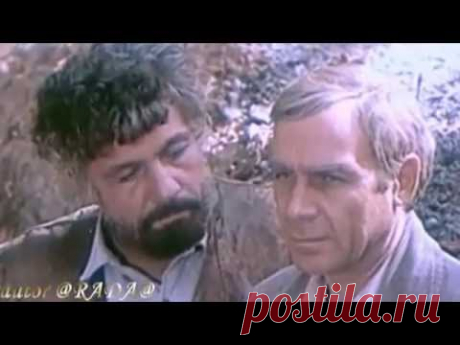 Михай Волонтир. Нас не нужно жалеть.