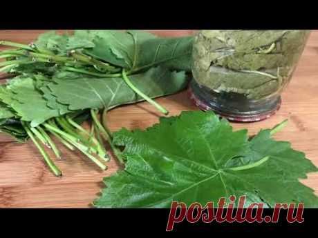 Как мариновать виноградные листья | How to marinate grape leaves | Ինչպես մարինացնել ՝ խաղողի տերևը