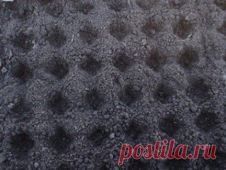 Разметка грядки