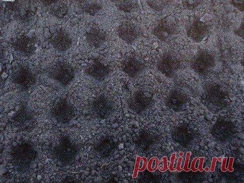 Разметка грядки