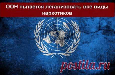 ООН пытается легализовать все виды наркотиков