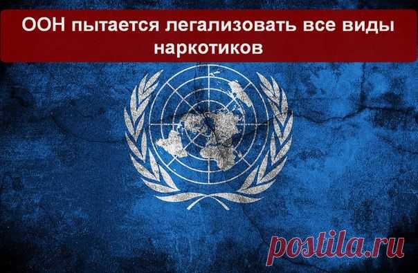 ООН пытается легализовать все виды наркотиков