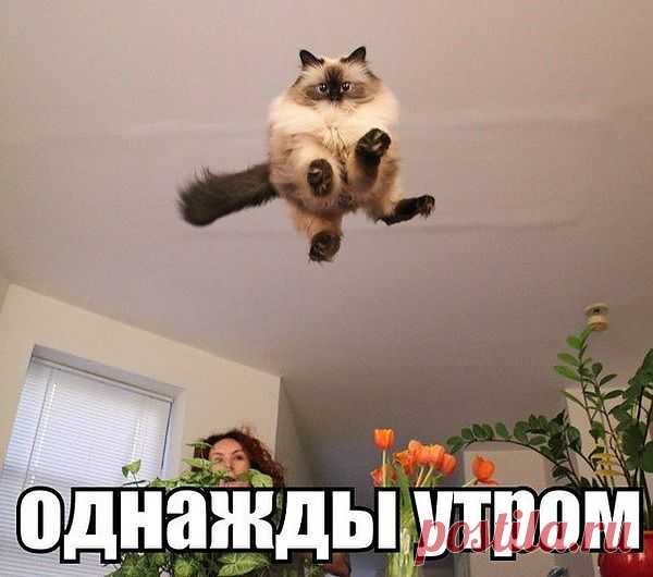Ура!!! Утро настало!