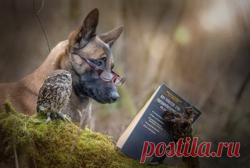 Ingo and Poldi friends forever - Beauty will save