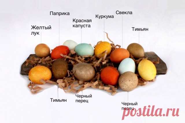 Как покрасить яйца к Пасхе натуральными продуктами. Мастер-класс. Фото

Традиция украшать дом красочными пасхальными яйцами позволяет придать ему нарядный вид при минимуме затрат и усилий. И особенно, если для окраски яиц использовать натуральные красители. Например, луковую шелуху, листья красной капусты, свекольный сок, молотый кофе, скорлупу грецких орехов, шпинат, чернику, цветы и всевозможные специи — паприку, куркуму, тимьян, шафран и т. д.