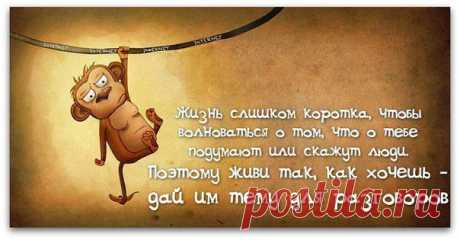 Вредный журнал