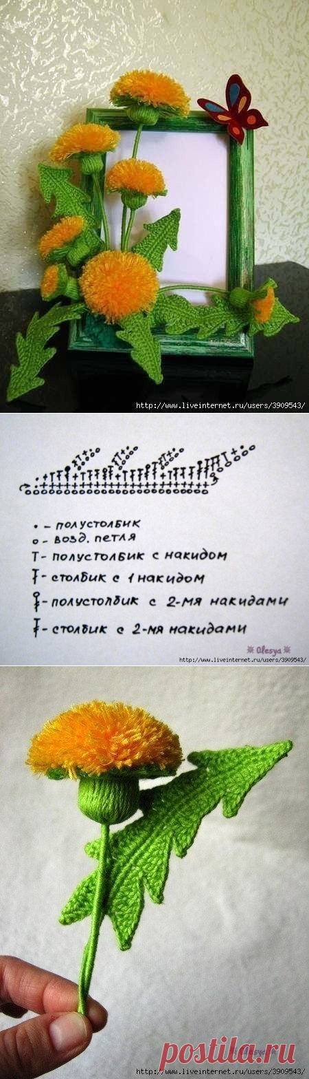 Одуванчик