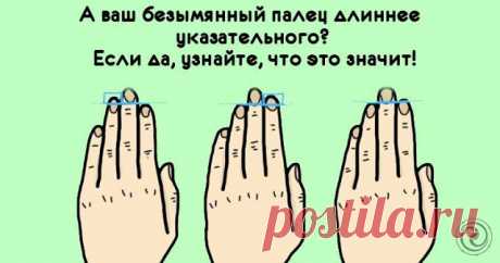 А ваш безымянный палец длиннее указательного?! Если да, то узнайте, что это значит! 


Достаточно посмотреть на свои ладони и вы можете многое узнать о себе. Многие ученые полагают, что отношение между указательным и безымянным пальцем указывает, какому количеству тестерона мы были п…