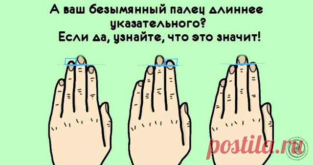 А ваш безымянный палец длиннее указательного?! Если да, то узнайте, что это значит! 


Достаточно посмотреть на свои ладони и вы можете многое узнать о себе. Многие ученые полагают, что отношение между указательным и безымянным пальцем указывает, какому количеству тестерона мы были п…
