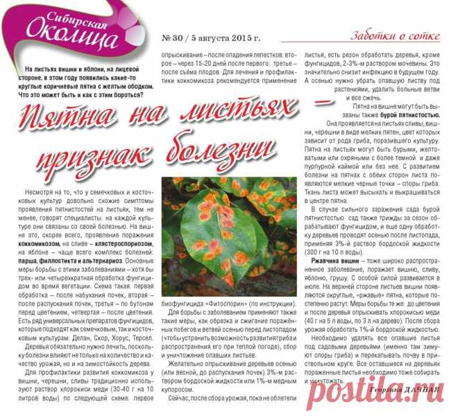 Пятна на листьях - признак болезни