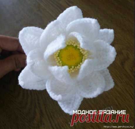 Мастер-класс кувшинки крючком