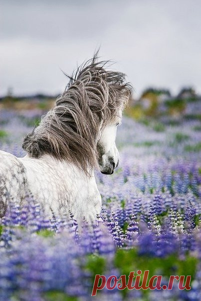 💞 С добрым мартовским утром! :) 🌸