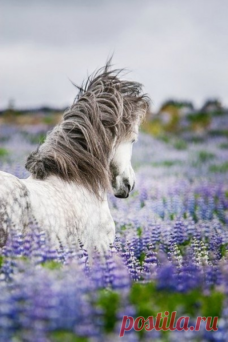 💞 С добрым мартовским утром! :) 🌸