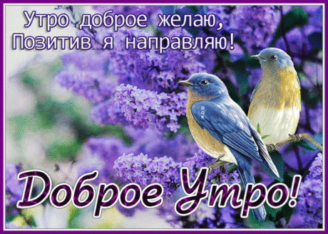 Открытка доброе утро, позитив я направляю