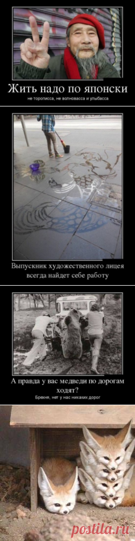 Демотиваторы - приколы