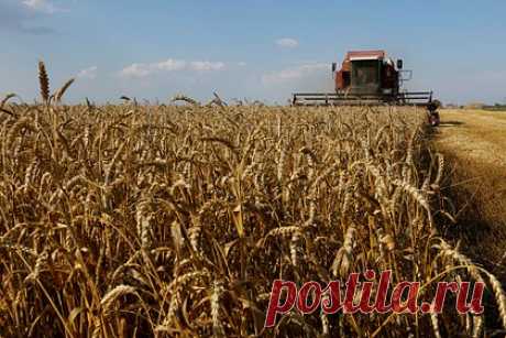 Генсек ООН предложил условие сохранения зерновой сделки. Генеральный секретарь ООН Антониу Гутерриш предложил условие сохранения зерновой сделки. В частности, отмечается, что Европейский союз рассматривает подключение &quot;дочки&quot; российского сельскохозяйственного банка к SWIFT для транзакции в вопросах продовольствия и удобрений.