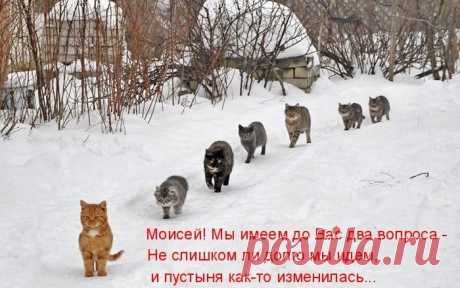Поговорили...)))