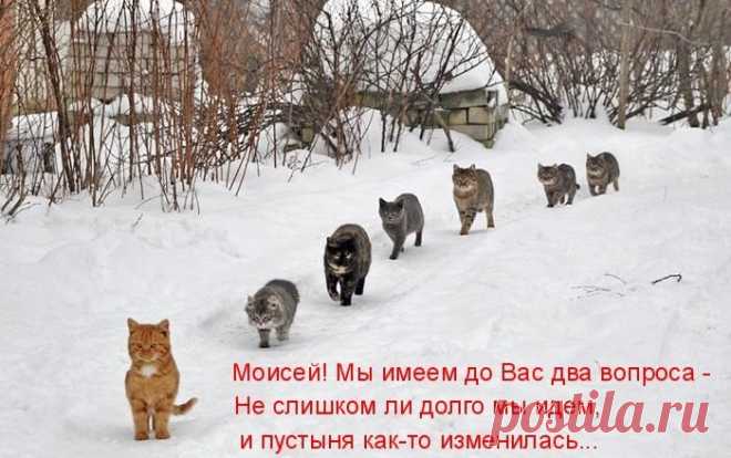 Поговорили...)))