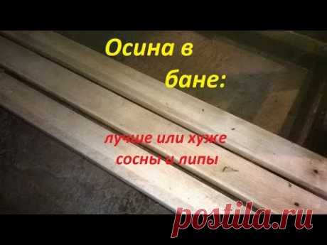 Осина в бане: лучше или хуже липы и сосны? Плюсы и минусы