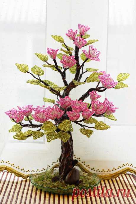 biser.info_40446_magnolija_1390124591.jpg (1067×1600)
