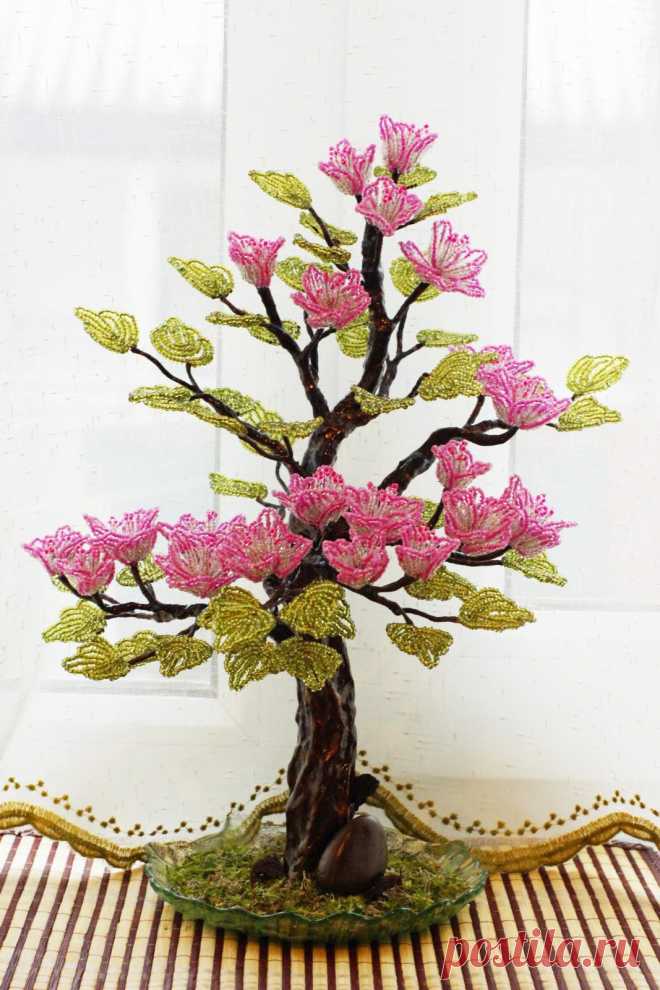 biser.info_40446_magnolija_1390124591.jpg (1067×1600)