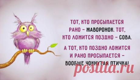 Весёлые картинки – Фитнес для мозга